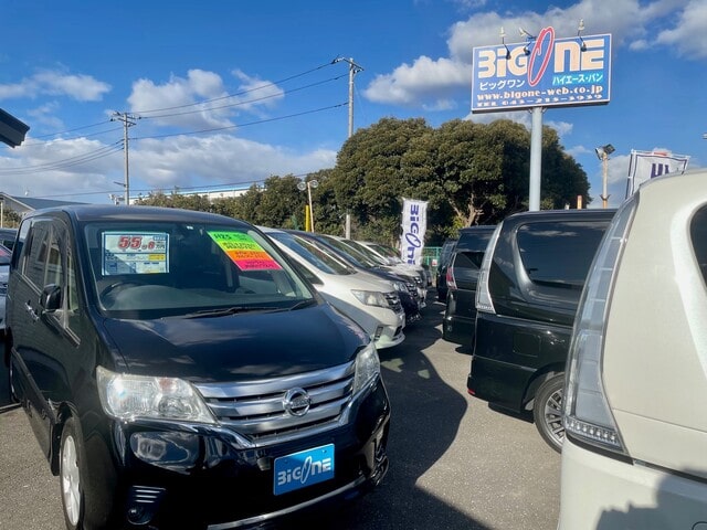 ビッグワン ハイブリッド専門店
